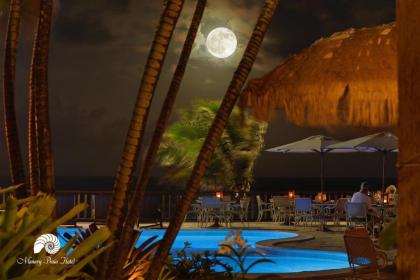 Manary Praia Hotel - image 4